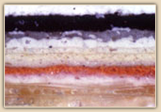 Paint cross section photomicrograph